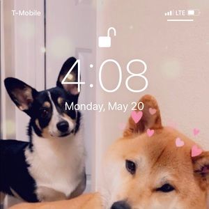 Meet your Posher, Scott